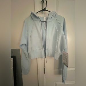 Scuba Full-Zip Cropped Hoodie Powder Blue